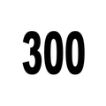 $300 Minifigure